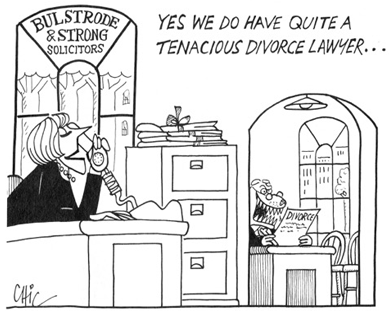 Need Overcomes Equality Claim in Divorce Settlement
